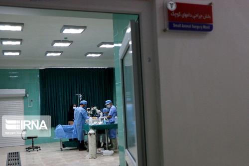 عرضه روش نوین درمان سرطان برای افزایش عمر بیماران