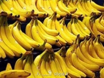 پاسكاری واردات موز