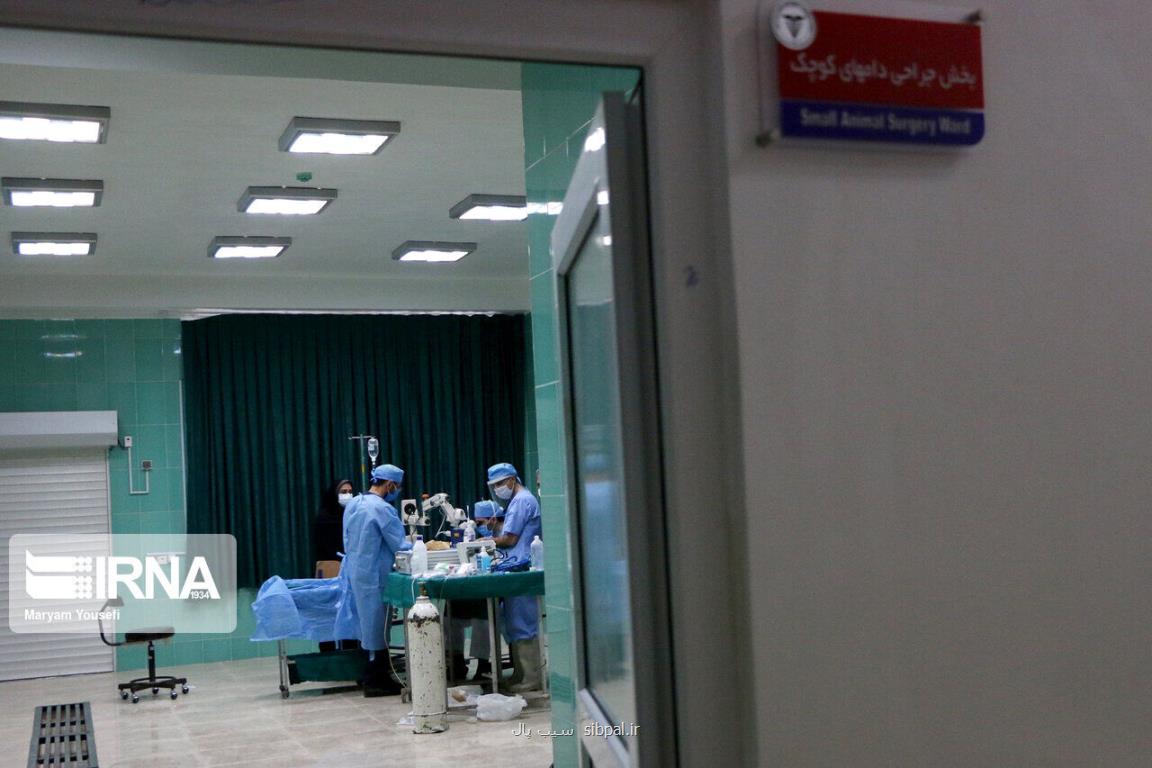 عرضه روش نوین درمان سرطان برای افزایش عمر بیماران