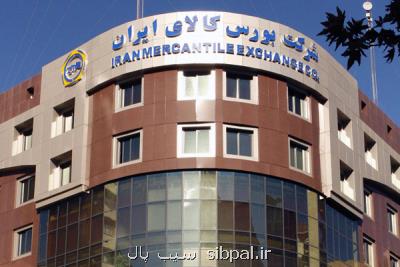 عرضه ۸۰ درصد تیراژ تولید شاهین در بورس کالا