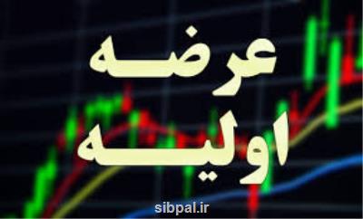 جزییات دو عرضه اولیه جدید در بورس