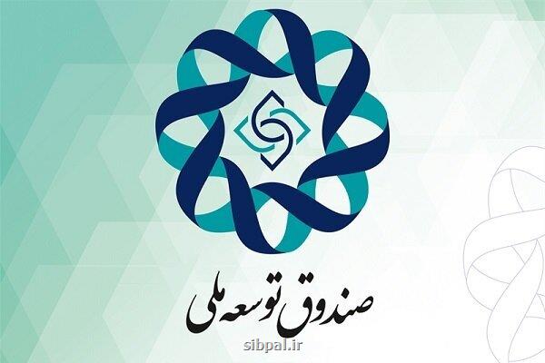 منابع صندوق توسعه ملی را با منابع بودجه ای اشتباه نگیریم
