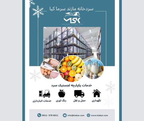 سردخانه گوشت و مرغ منجمد چیست؟