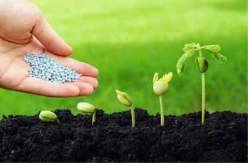 توزیع افزون بر ۴۶ هزار تن کود یارانه ای بین کشاورزان استان مرکزی