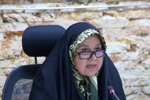 قسمتی از قوانین با رویکرد سرمایه گذاری برای تولید نیازمند اصلاح و بازبینی هستند