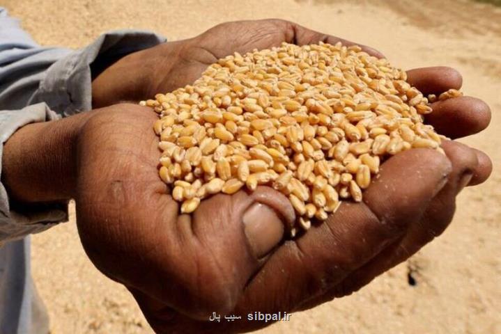 کاهش ماهانه قیمت جهانی مواد غذایی