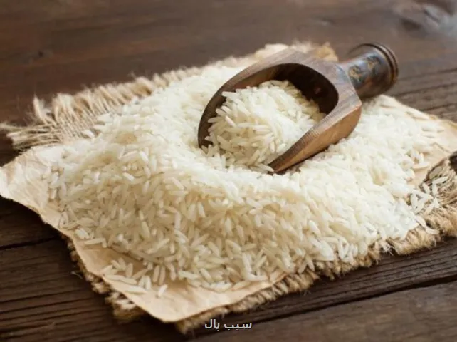 از بازار برنج چه خبر؟