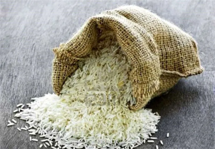 برنج آمریکایی از راه رسید