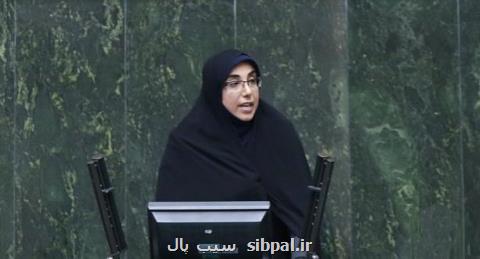 اعتراض نماینده دیر به اختصاص درآمد ناشی از عوارض آلایندگی عسلویه به سایر شهرستانها