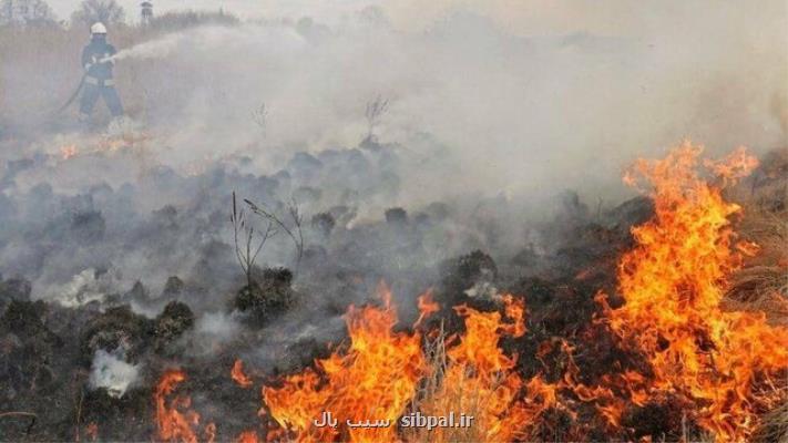 آتش سوزی در منطقه حفاظت شده دنا مهار گشت